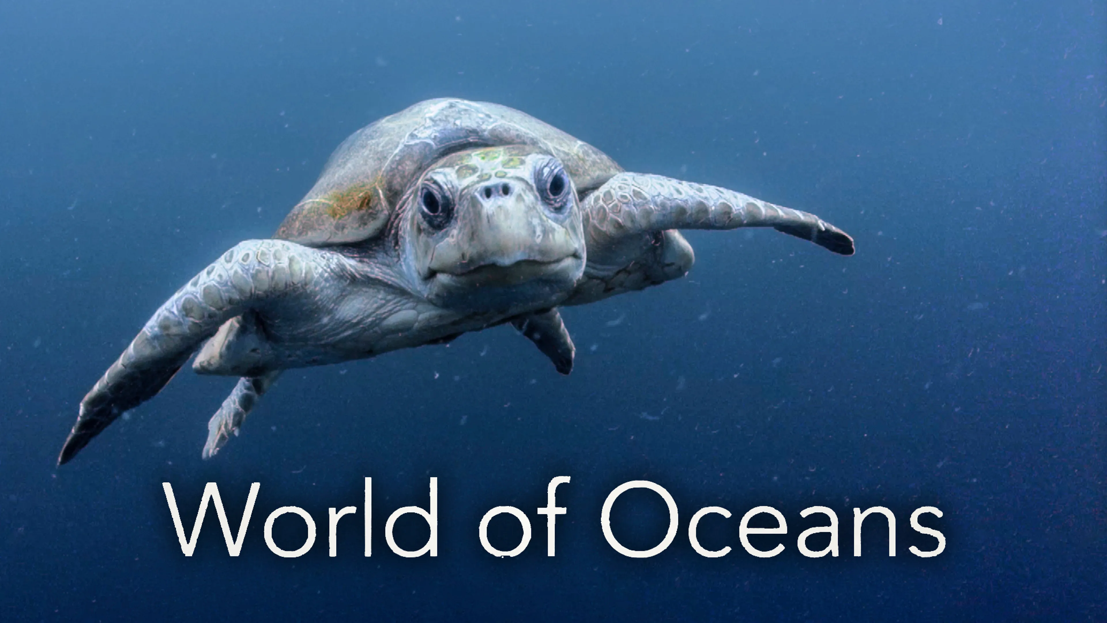 World of Oceans poster